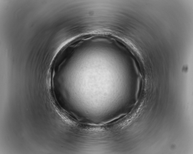 X0000098200838200805081109