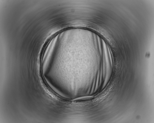 X0000098200840200805081109