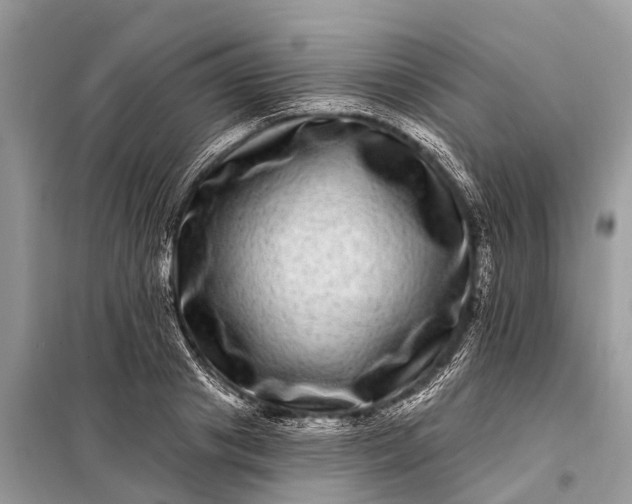 X0000098200841200805081109