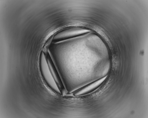 X0000098200842200805081109