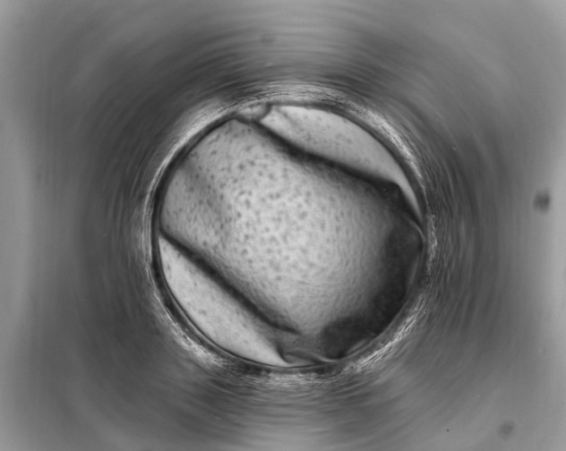 X0000098200843200805081109