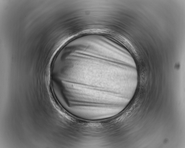 X0000098200844200805081109