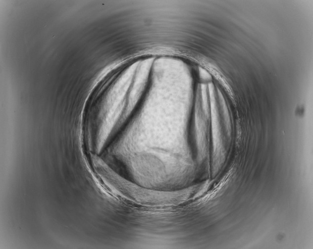 X0000098200845200805081109