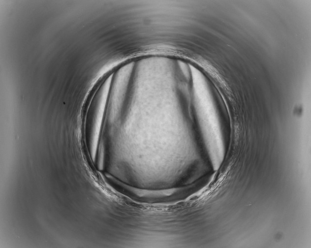X0000098200846200805081109