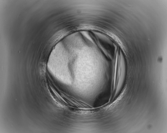 X0000098200849200805081109