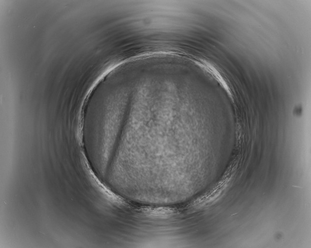 X0000098200851200805081109