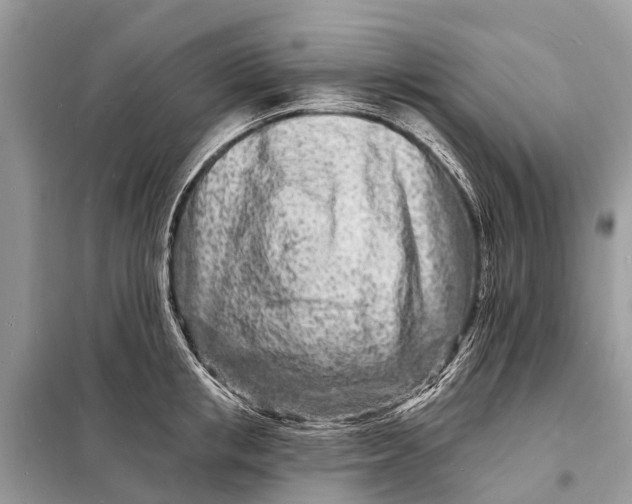 X0000098200853200805081110