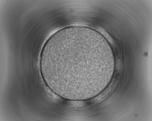 X0000098200856200805081110