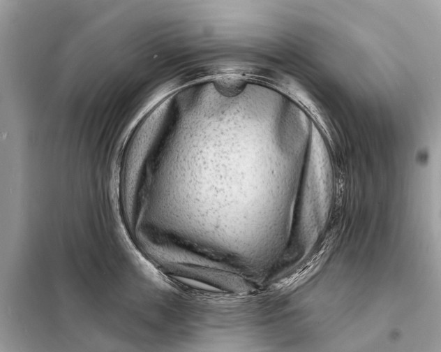 X0000098200859200805081110