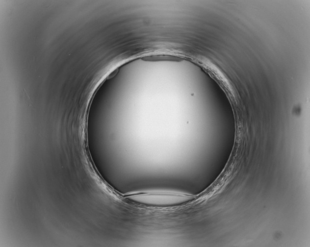 X0000098200860200805081110
