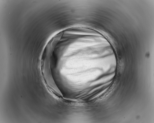 X0000098200862200805081110