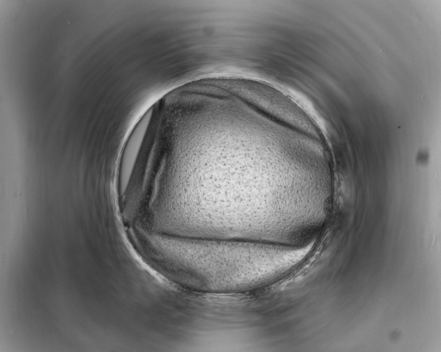 X0000098200863200805081110