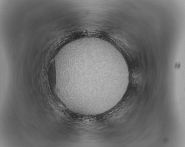 X0000098200865200805081109