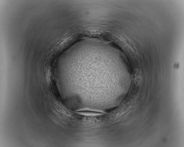 X0000098200866200805081109