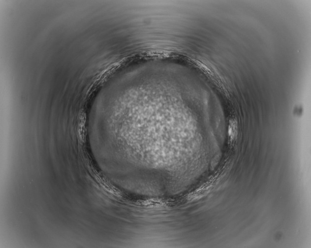 X0000098200867200805081109
