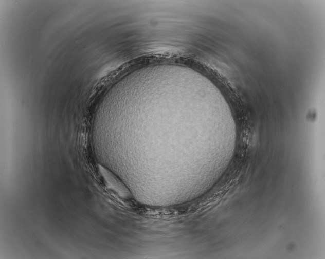X0000098200869200805081109