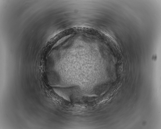X0000098200870200805081109