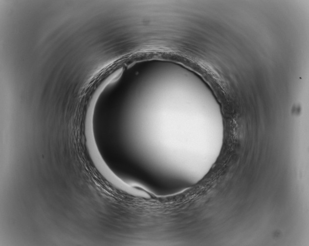 X0000098200872200805081109
