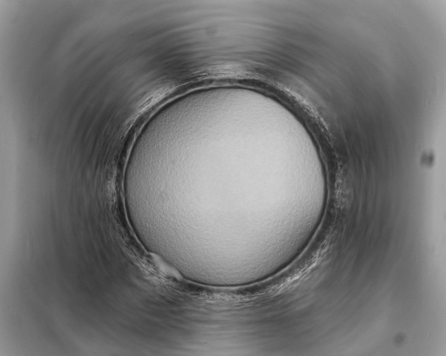 X0000098200873200805081109