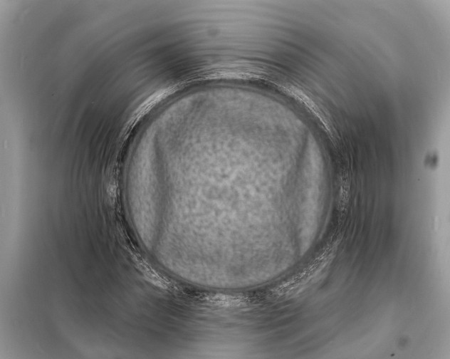 X0000098200874200805081109