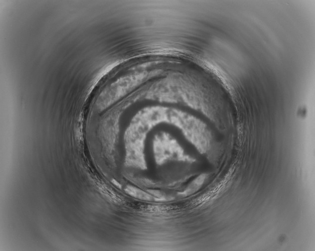 X0000098200875200805081109