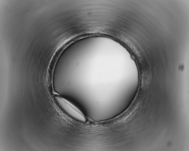 X0000098200876200805081109