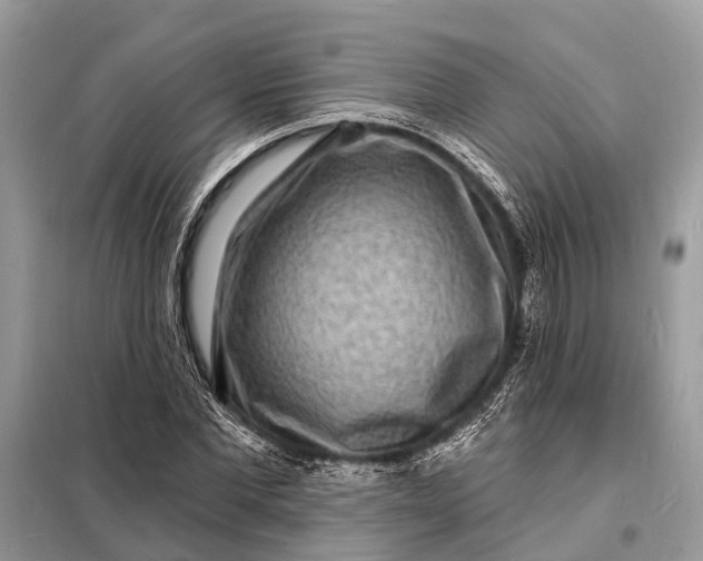 X0000098200877200805081109