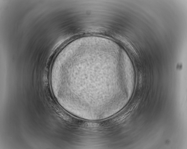 X0000098200878200805081109