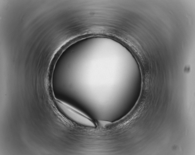 X0000098200880200805081109