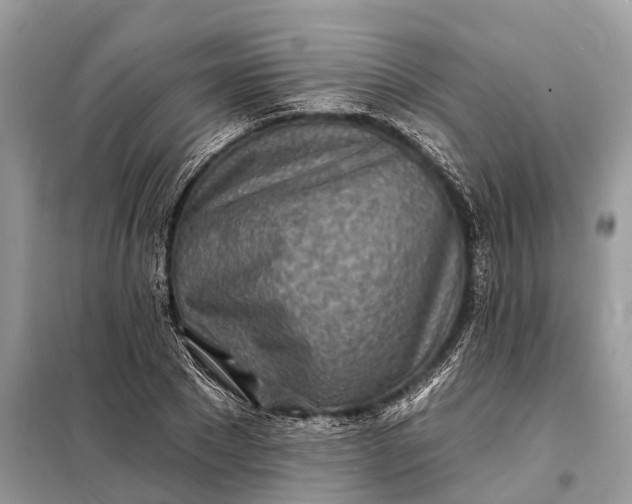 X0000098200881200805081109