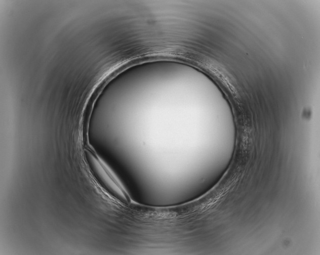 X0000098200884200805081109