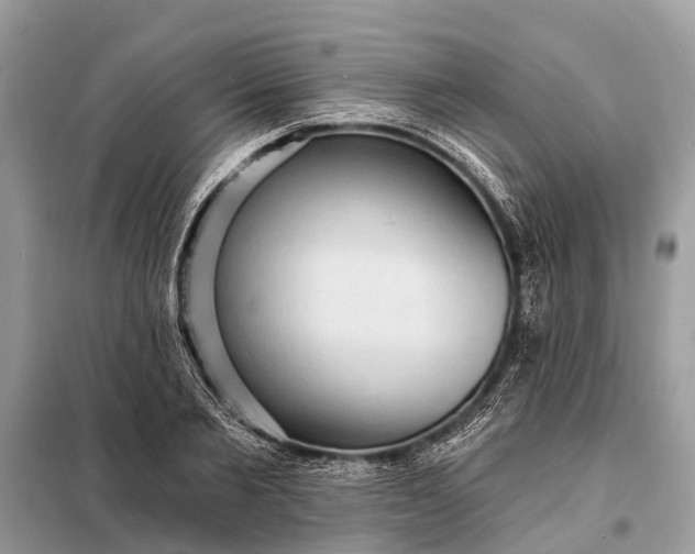 X0000098200885200805081109