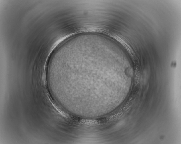 X0000098200886200805081109