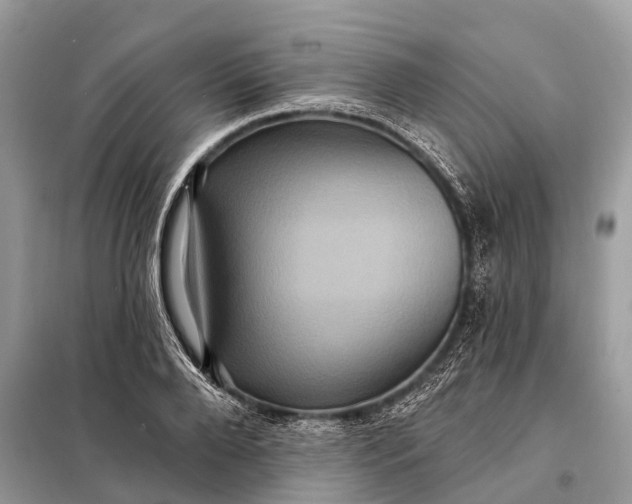 X0000098200888200805081109