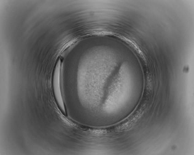X0000098200889200805081109