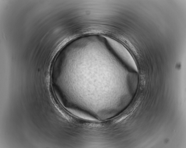 X0000098200890200805081109