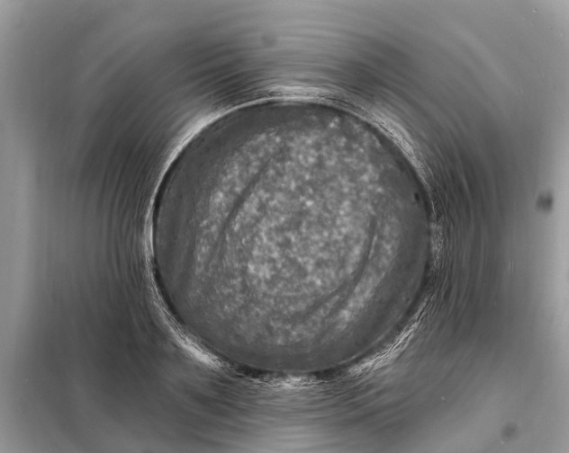 X0000098200891200805081109