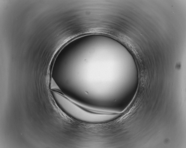 X0000098200892200805081109