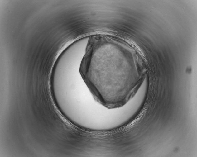 X0000098200893200805081109