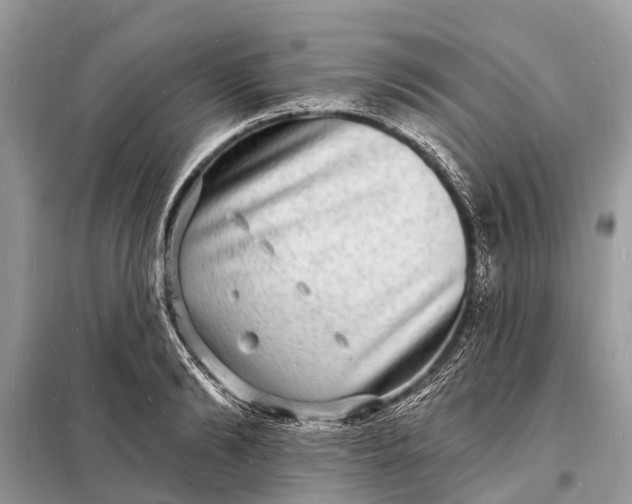 X0000098200894200805081109