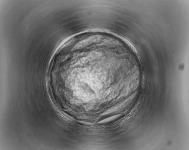 X0000098200895200805081109