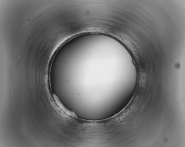 X0000098200896200805081109