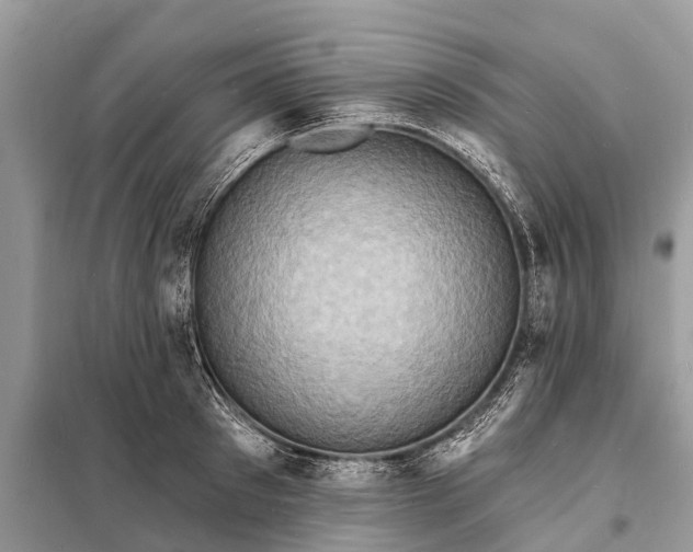 X0000098200897200805081109