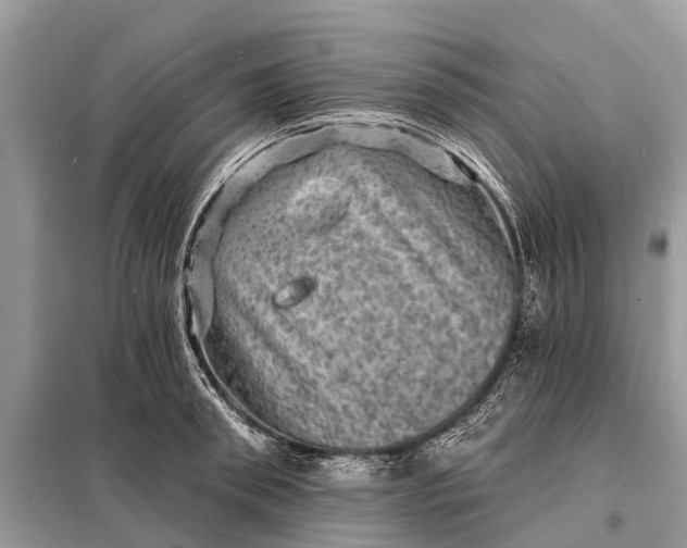 X0000098200898200805081109