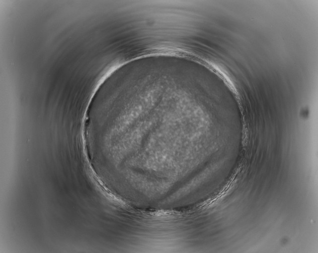 X0000098200899200805081108
