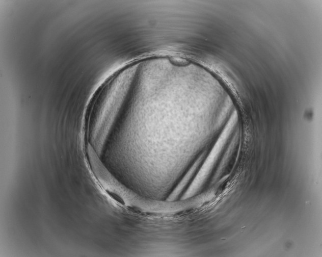 X0000098200902200805081108
