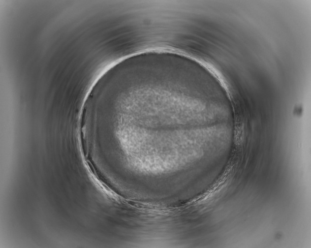 X0000098200903200805081108