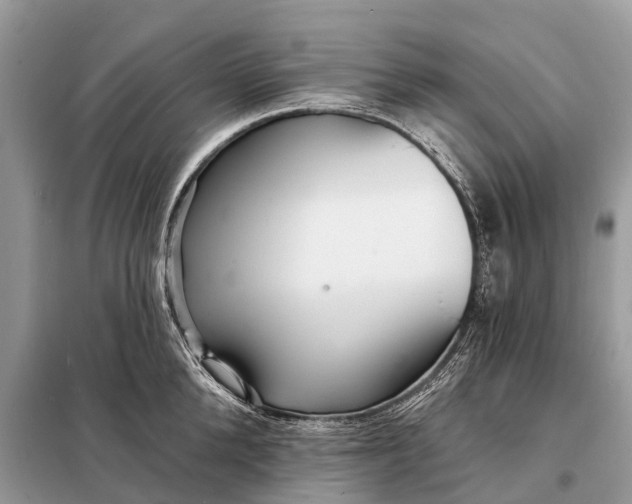 X0000098200904200805081108