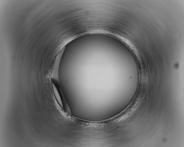 X0000098200905200805081108