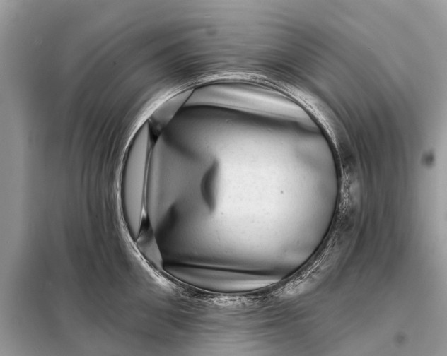 X0000098200906200805081108